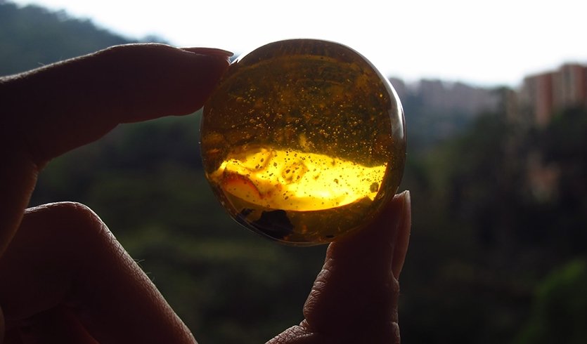 Легче легкого, 5 дней со среды (октябрь-апрель) — Туры в СПб