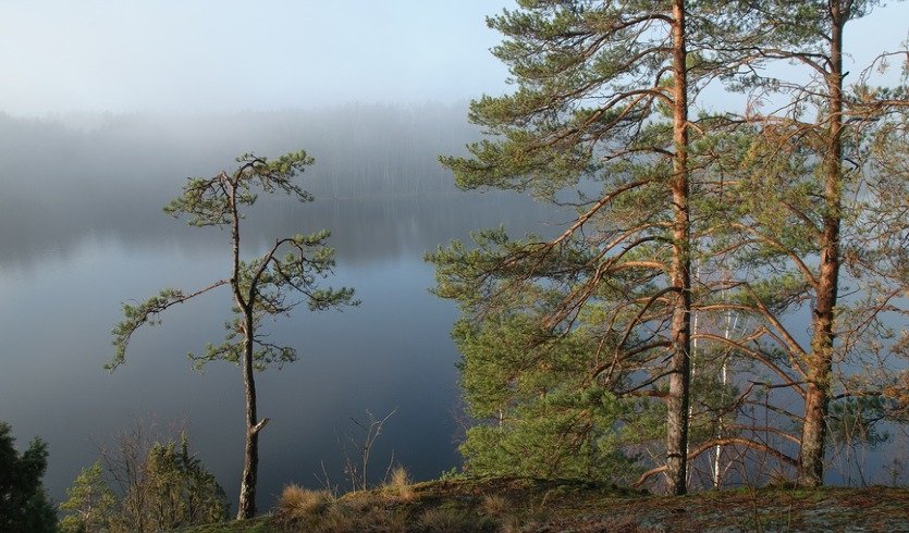 Серебряная чаша Ястребиного озера – загородные экскурсии от 2300 рублей