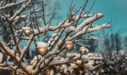 «Древнерусский Новый год» (Русская деревня «Шуваловка») – новогодние программы для школьных групп от 2880 рублей