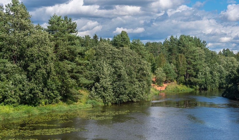Зачарованные берега реки Оредеж — фото № 1 — Фотобанк Лори / Румянцева Наталия  Зачарованные берега реки Оредеж — Автобусные загородные