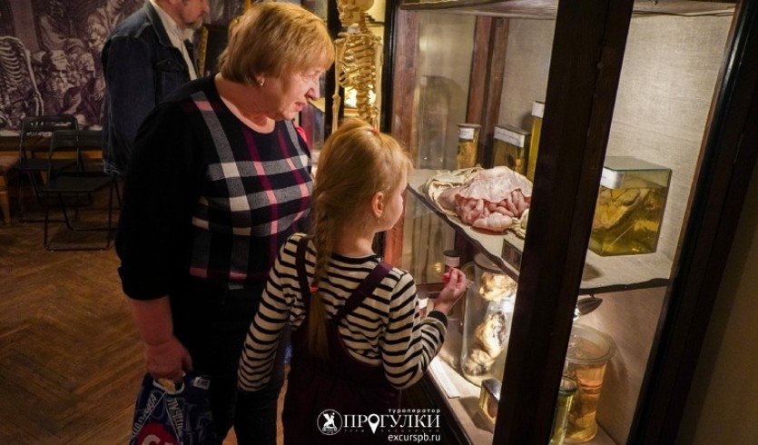 Интерактивное занятие «Вокруг человека за 80 минут» (Военно-медицинский музей)  – Сборные экскурсии, мастер-классы, квесты для школьников в Санкт-Петербурге от 900 рублей