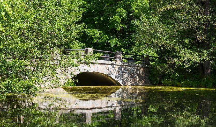 Усадьба Сергиевка и дача Бенуа — Автобусные загородные