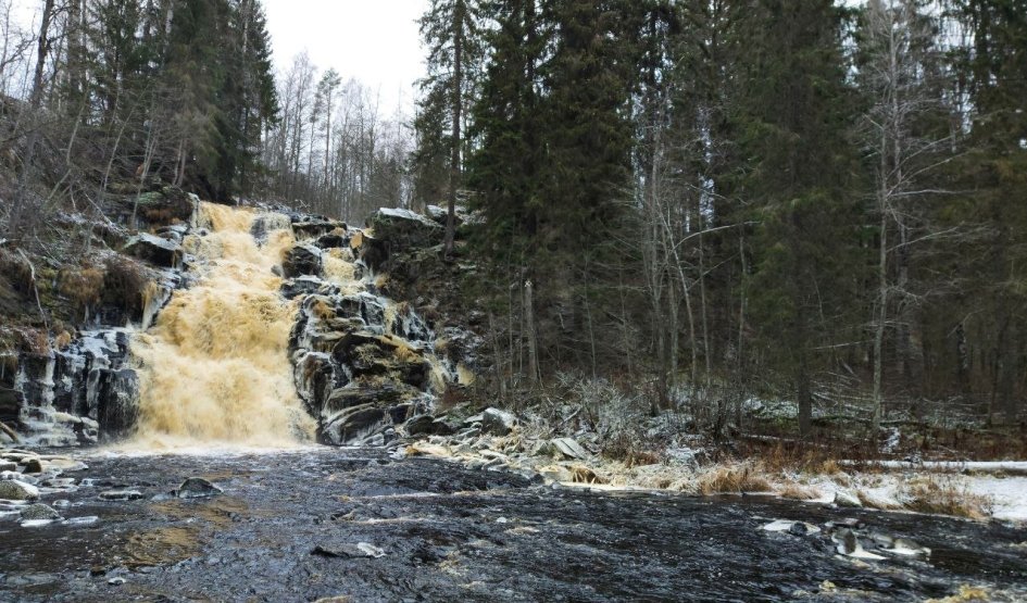 Экопарк «Долина водопадов» — туры в Карелию от 10950 рублей
