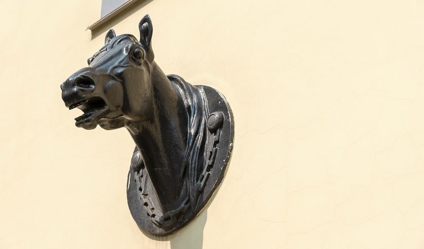 Ветеринарная станция центрального района – пешеходные экскурсии