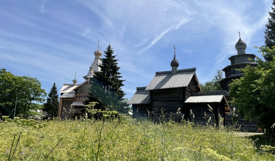 Музей Витославлицы