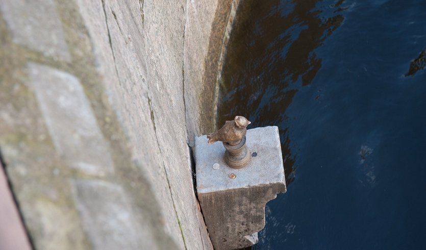 Памятник Чижику-Пыжику — Экскурсии и программы для детей от 240 рублей