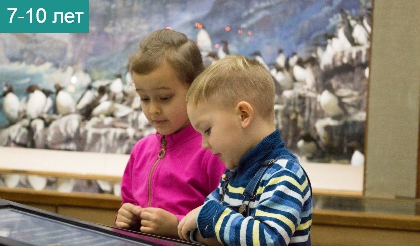 Полярный Новый год +мастер-класс по изготовлению игрушки (новогодняя программа в Музее Арктики и Антарктики) – Сборные экскурсии, мастер-классы, квесты для школьников в Санкт-Петербурге от 750 рублей