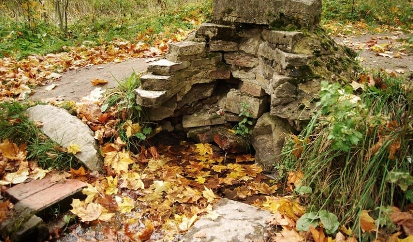 Царское Село. Баболовский парк (велосипедная экскурсия) – корпоративные мероприятия от 1600 рублей