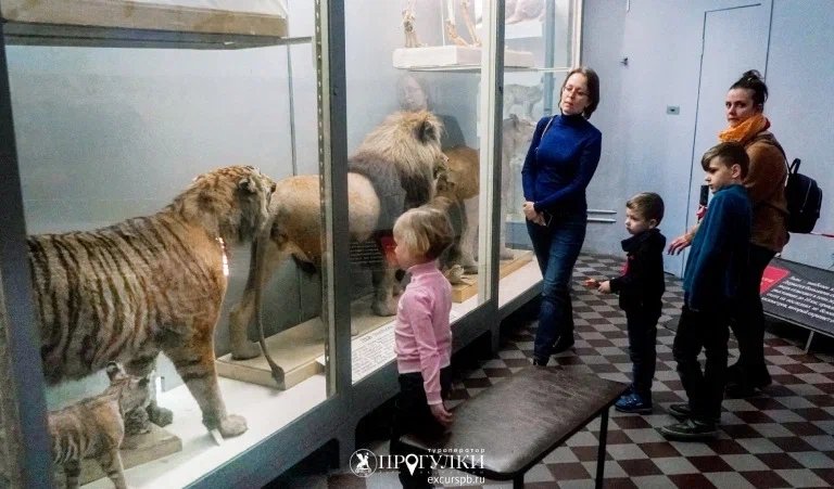 Зоологический музей — Сборные экскурсии для школьников в Санкт-Петербурге