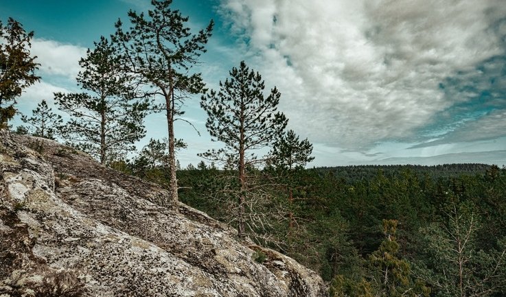 Карелия — тур в Карелию от 2750 рублей 