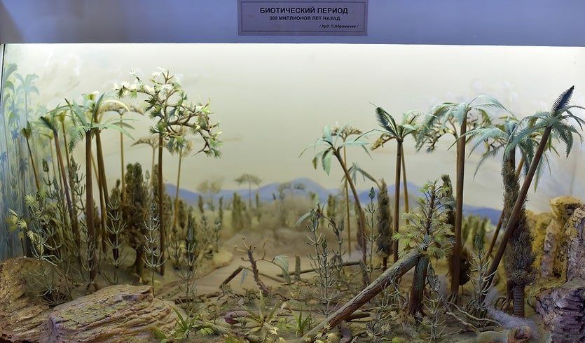 Биотический период – сборные экскурсии для школьников в Санкт-Петербурге от 850 рублей