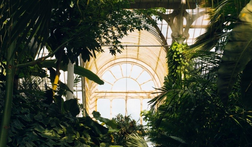 Оранжерея – тематические автобусные экскурсии от 1800 рублей