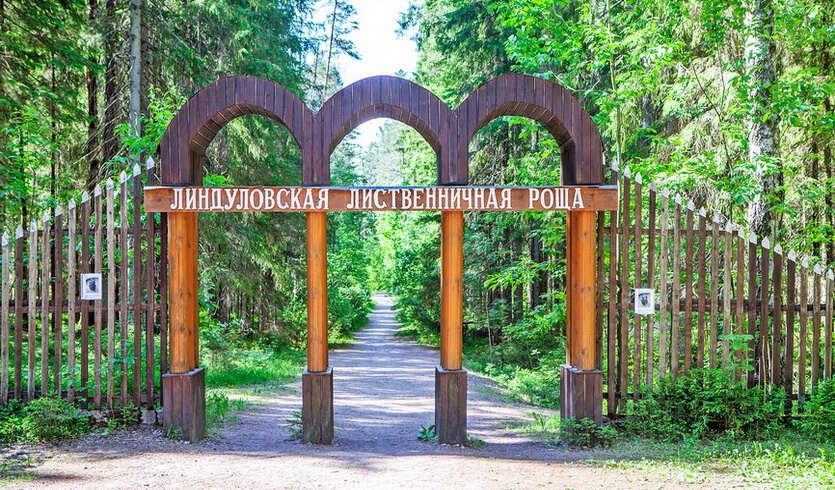 Дачные сплетни имперской столицы (для заказных групп) – автобусные экскурсии для организованных групп от 1350 рублей