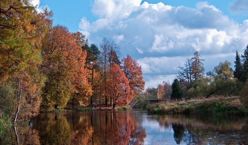 Парк «Приютино» – автобусные экскурсии от 1700 рублей