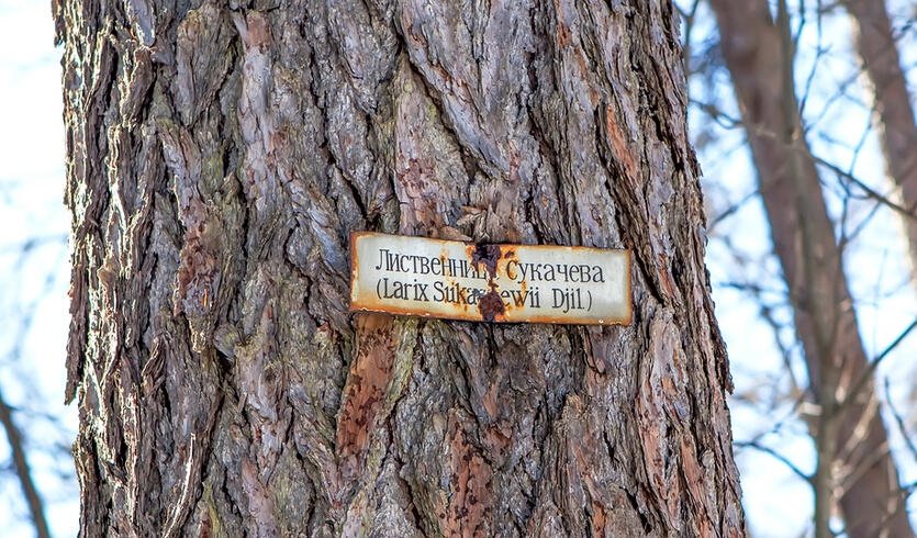 Карельский перешеек. Тайны природы (для заказных групп) — Автобусные загородные