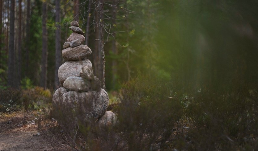 Большое путешествие по Карелии — туры в Карелию от 62950 руб.