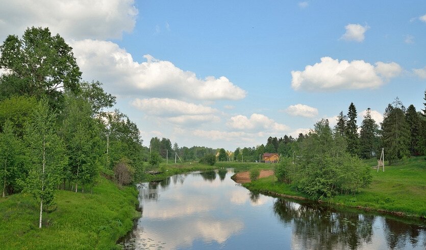 Вырица - вдали от суеты — Автобусные загородные