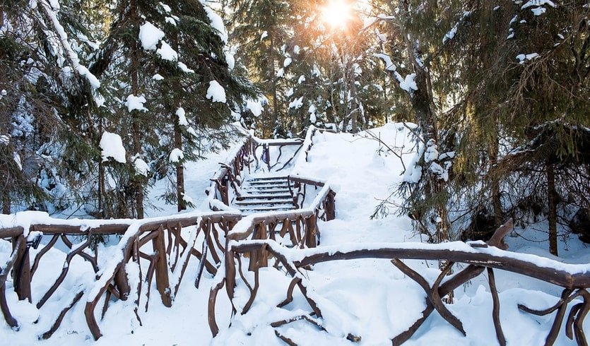 Экологическая тропа – туры в Карелию от 40950