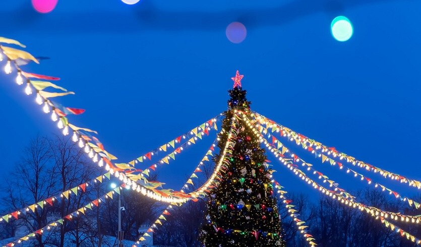 Новогодние огни (для групп) – автобусные экскурсии для организованных групп от 465 рублей