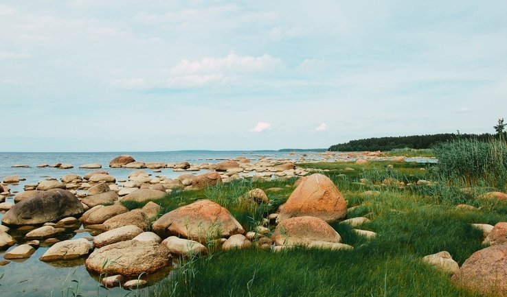 Прогулка по Комарово – пешеходные экскурсии для заказных групп от 345 рублей