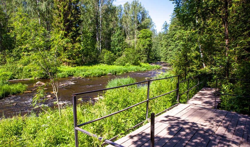 Карельский перешеек. Тайны природы — Автобусные загородные