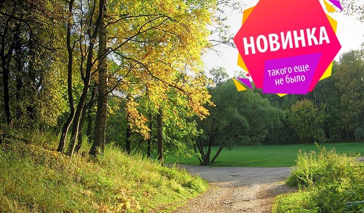 От Удельного парка до Виллы Кумберта – пешеходные экскурсии от 1100 рублей