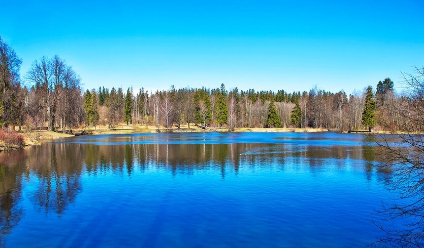 Жемчужины северных окрестностей Петербурга (для заказных групп) – экскурсии для организованных групп от 700 рублей