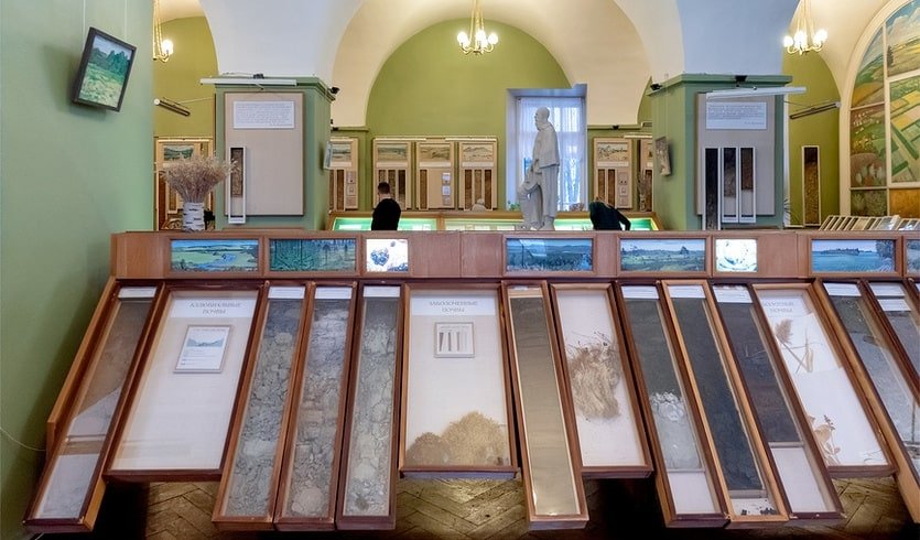Образцы различных почв в витринах – сборные экскурсии для школьников в Санкт-Петербурге от 850 рублей
