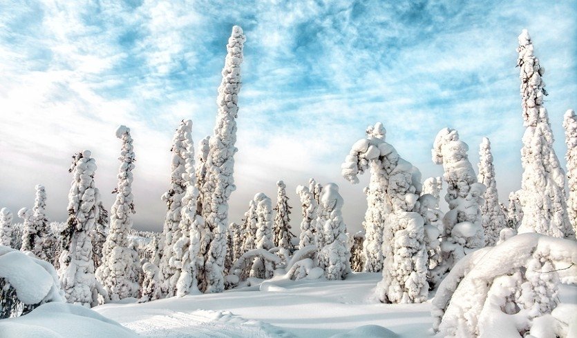 Зимний пейзаж — туры в Карелию от 30950 рублей