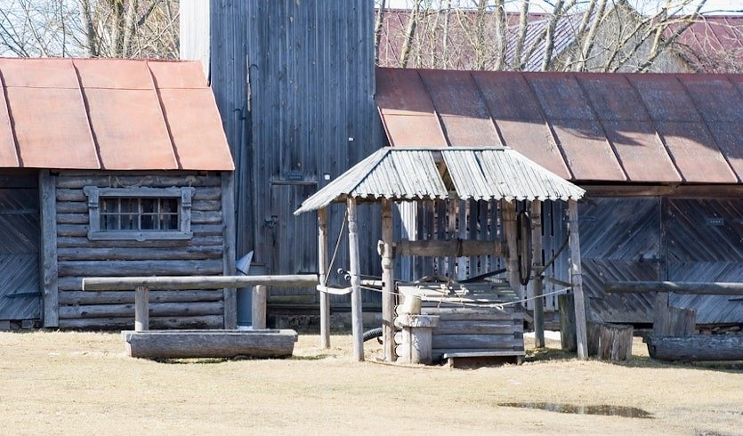 По Пушкинским местам Ленинградской области: Суйда, Выра, Кобрино (для школьных групп) – экскурсии и программы для детей от 1660 руб.