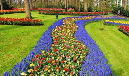Весна в Голландии и парк Кёкенхоф – туры в Европу из Санкт-Петербурга