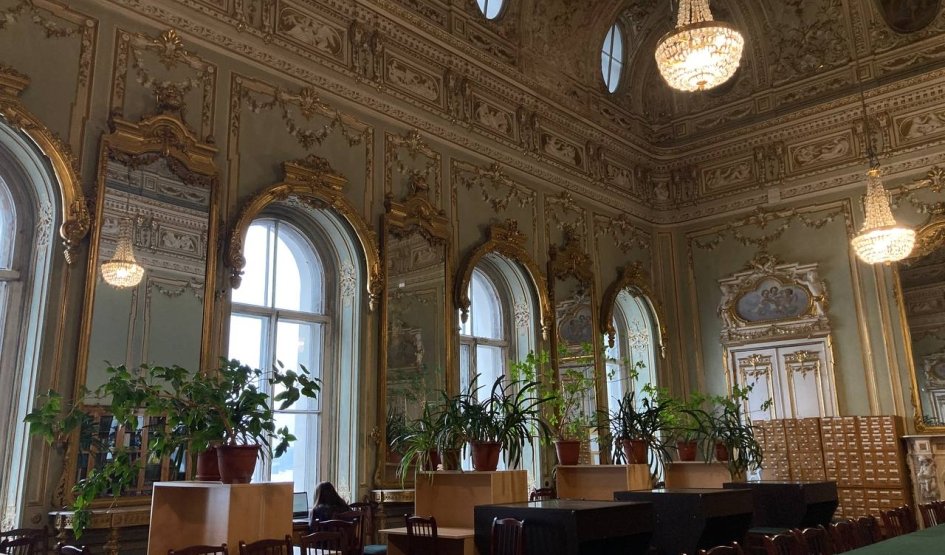 Ново-Михайловский дворец – фото №1 – Прогулки