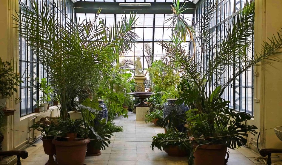 Экскурсия в Дом Учёных (Владимирский дворец) - туроператор "Прогулки". Фото №8