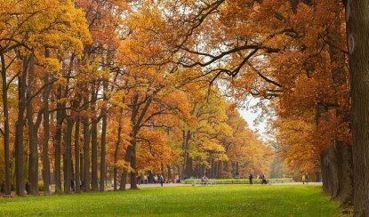 Классический Санкт-Петербург, 7 дней (октябрь-апрель) – сборные туры в Санкт-Петербург от 17170 рублей