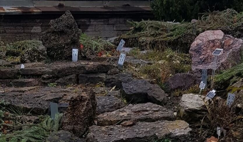 Ботанический сад Петра Великого — Музеи