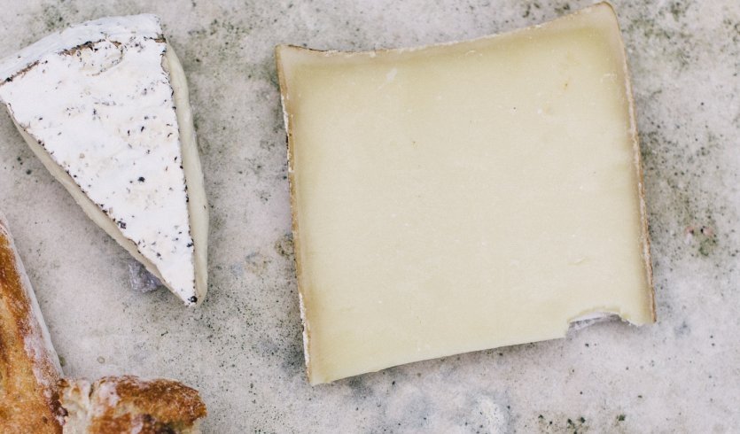 Сыр – загородные экскурсии от 3300 рублей Сыр – загородные экскурсии от 3300 рублей