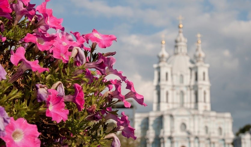 Архитектура Смольного собора – фото №1 – интерьерные экскурсии для заказных групп от 355 рублей