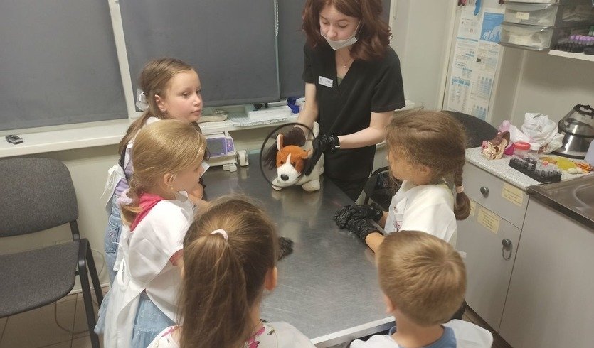 «Юный ветеринар» (интерактивная экскурсия) — сборные экскурсии, мастер-классы, квесты для школьников в Санкт-Петербурге от 1200 рублей