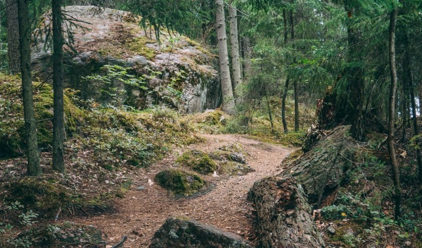 Выборг и Выборгский замок — экскурсия для заказных групп от 30100 рублей
