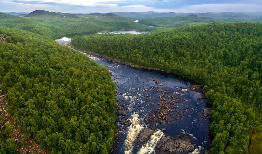 Увидеть Кольский полуостров за 4 дня: киты, джиппинг и водопады – туры по Северо-Западу от 44900 рублей