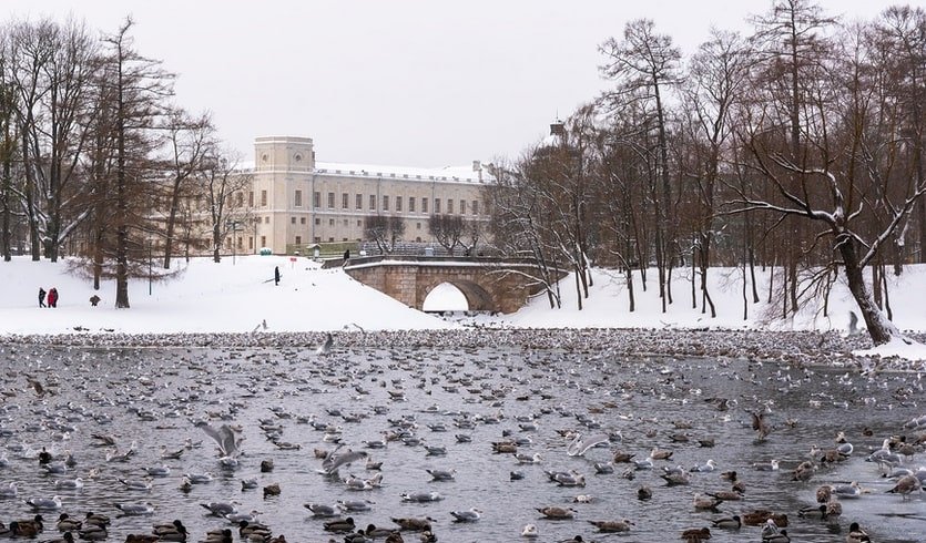 Гатчинский дворец – на ретропоезде