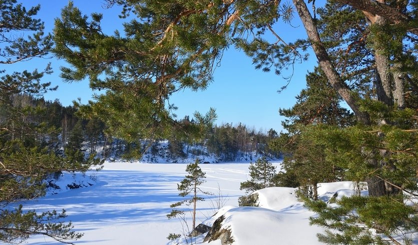 Ладожское озеро – туры в СПб от 29950 рублей