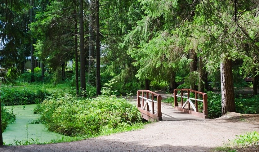 Парк и пруд на территории музея-усадьбы «Пенаты» – сборные туры в Санкт-Петербург от 15600 рублей