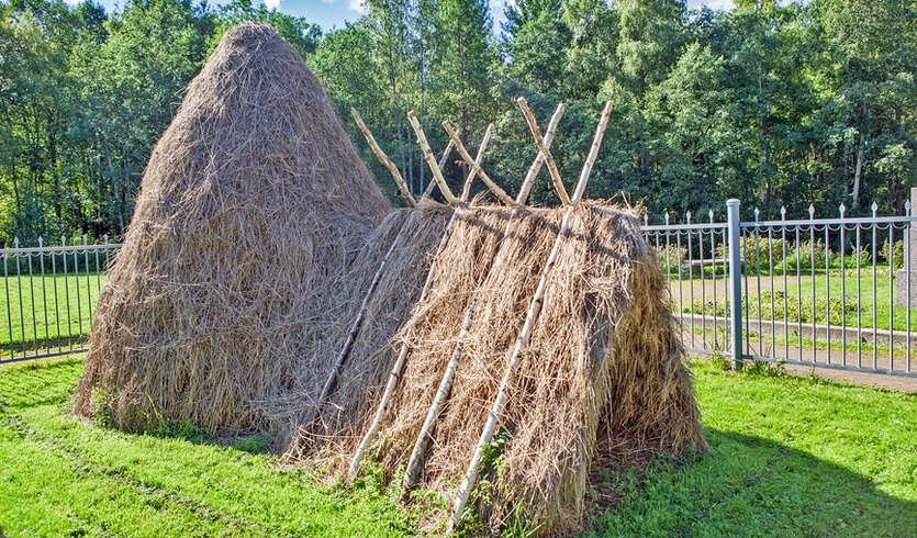 Северная Ривьера: Сестрорецк-Зеленогорск (для заказных групп) – автобусные экскурсии для организованных групп от 2600 рублей