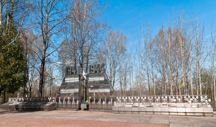 Синявинские высоты: по следам военных действий — фото № 1 — Фотобанк Лори / Ольга Визави Синявинские высоты: по следам военных действий — Автобусные загородные
