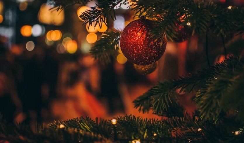 Елка — Сборные экскурсии для школьников в Санкт-Петербурге от 1300 рублей