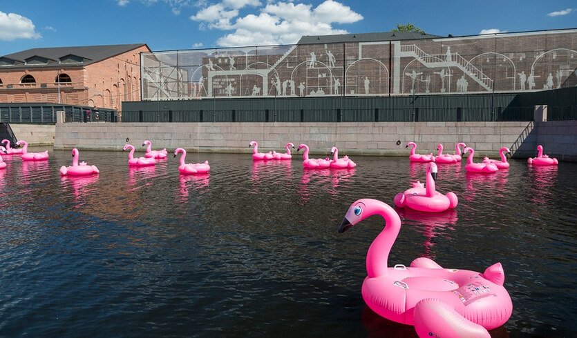 Розовые надувные лебеди плавают на пруду в Новой Голландии – сборные экскурсии для школьников в Санкт-Петербурге