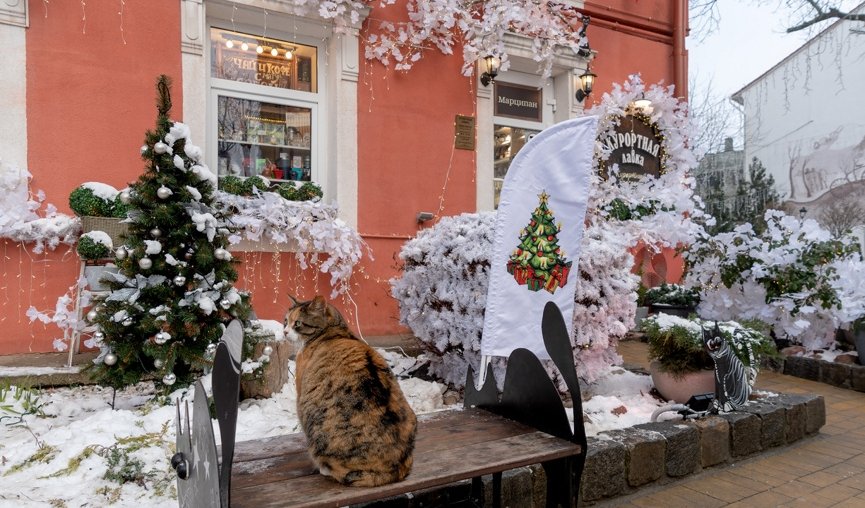 На самом западе России (ноябрь-март) – сборные туры в Калининград от 18600 рублей