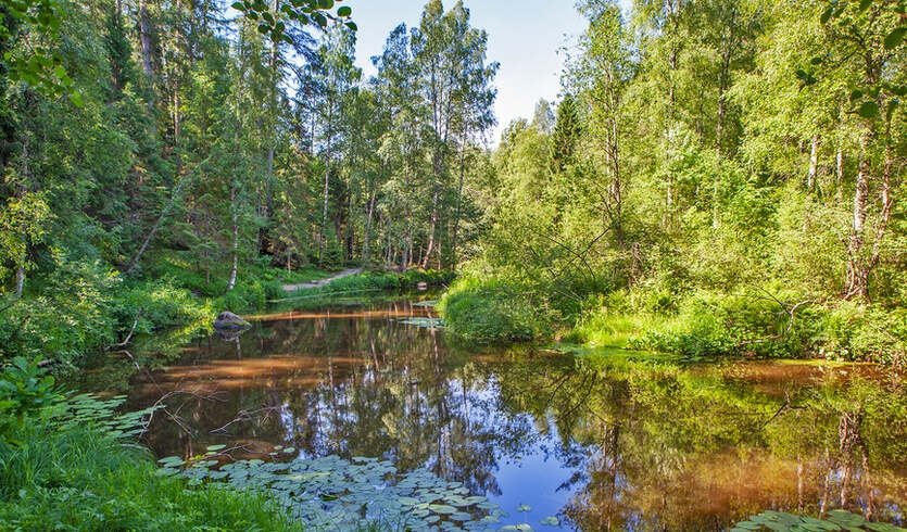 Карельский перешеек. Тайны природы (для заказных групп) — Автобусные загородные
