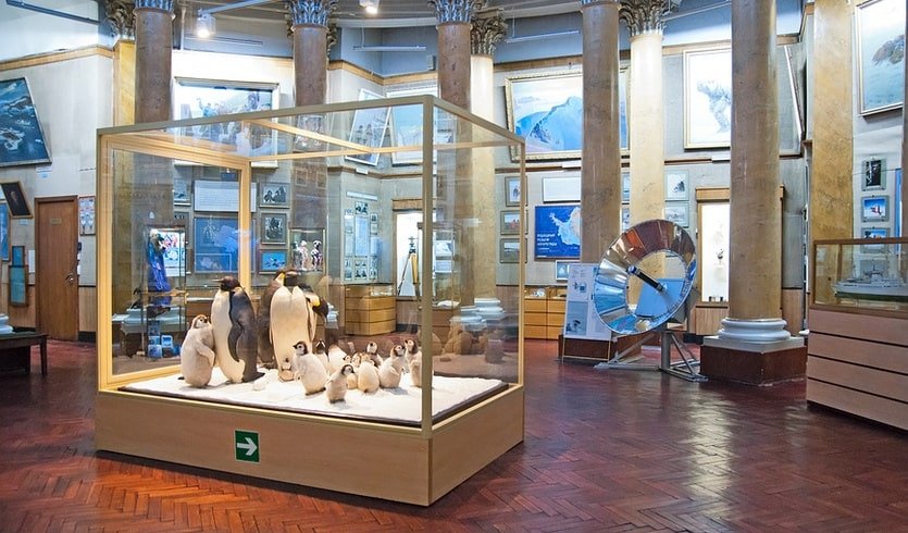 История исследования и освоения Северного морского пути (музей Арктики и Антарктики) – интерьерные экскурсии для заказных групп от 585 рублей